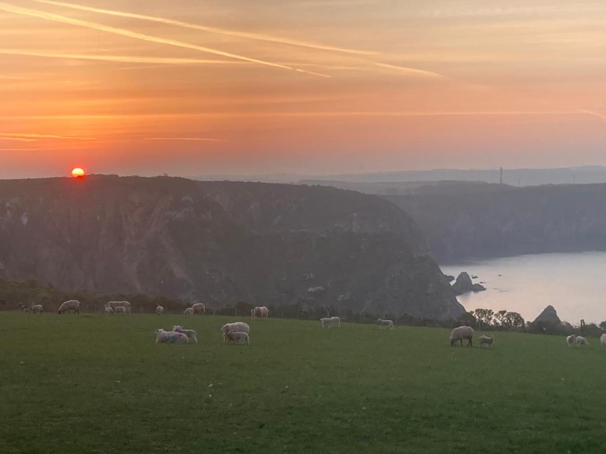 Coast Path Camping Hotel Haverfordwest Kültér fotó